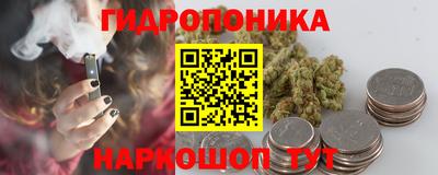 молекула духа Пугачёв