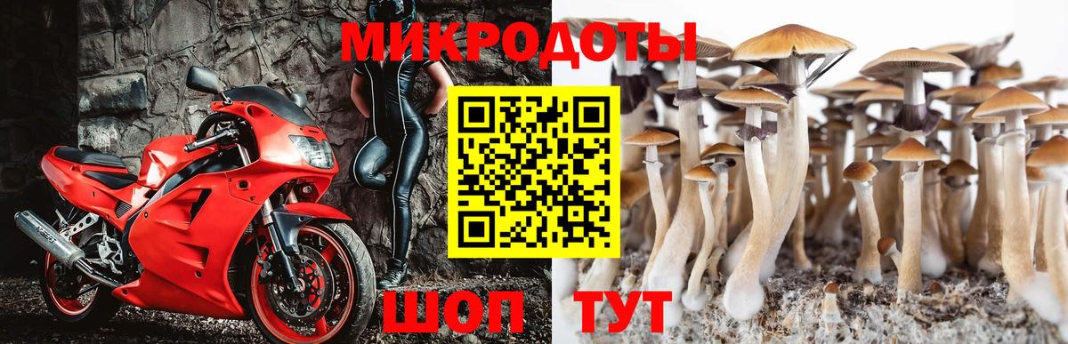 Родники  Псилоцибиновые грибы прущие грибы  Вход с VPN 